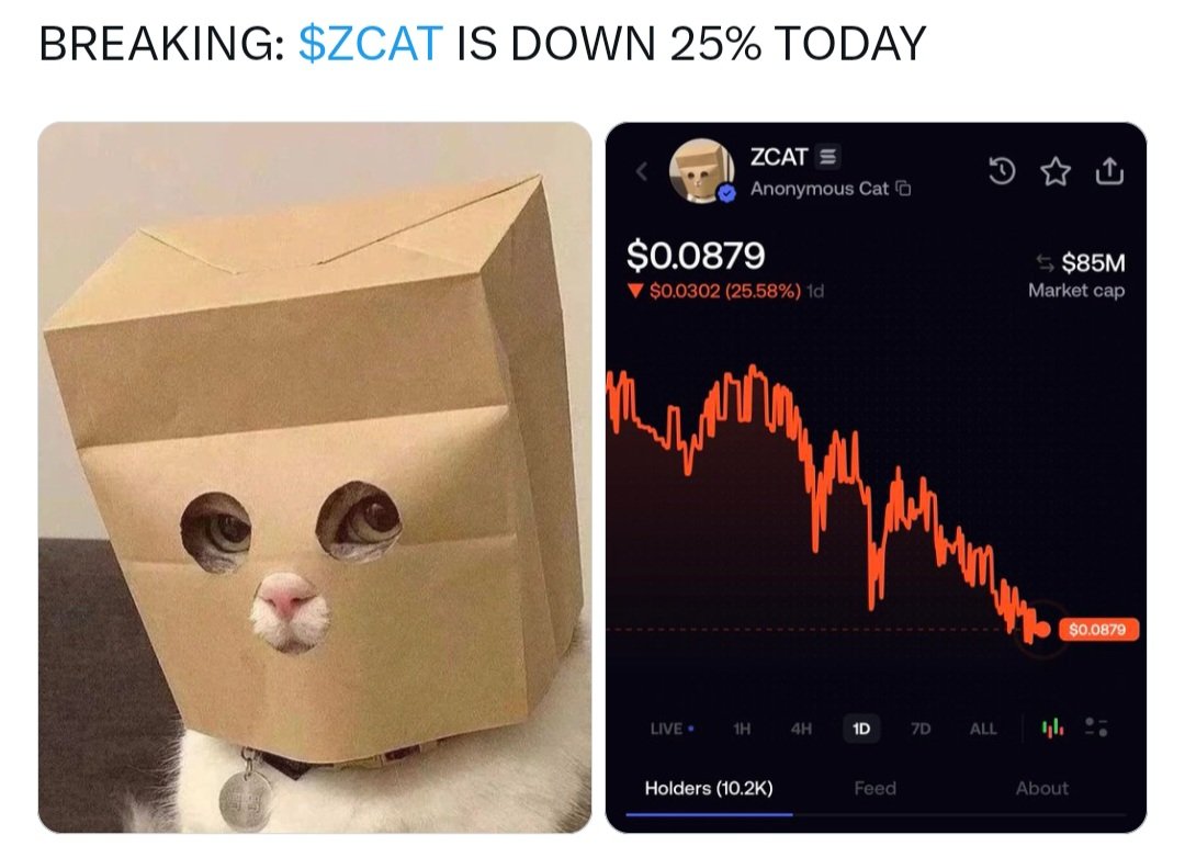 bayasonchain's tweet photo. @0xMusubi @miagia https://t.co/U8bhy91Sh2