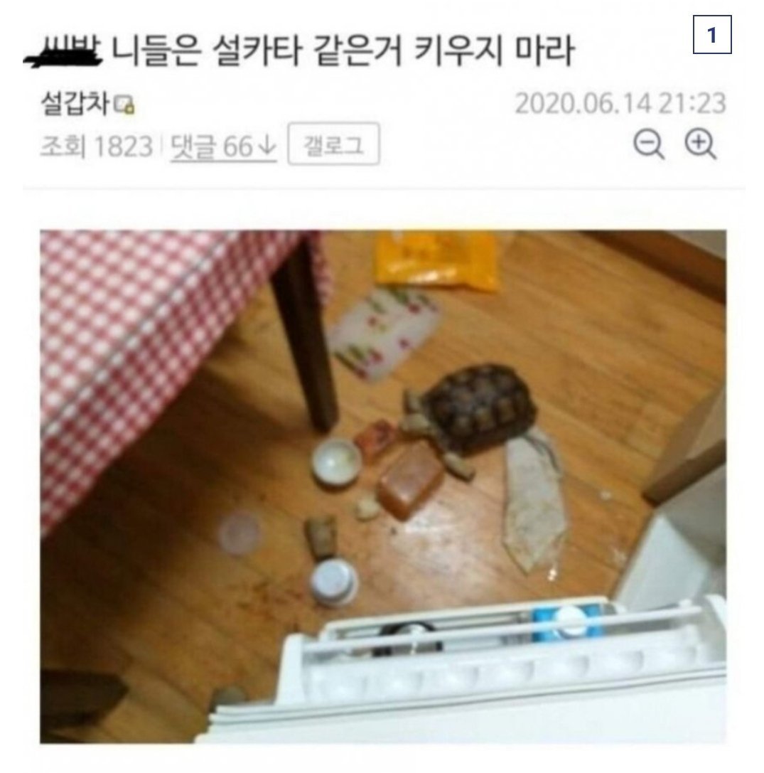 morigetdown's tweet photo. 이 정도로 오징어볶음 먹고싶음 https://t.co/0gtdUapiQ2