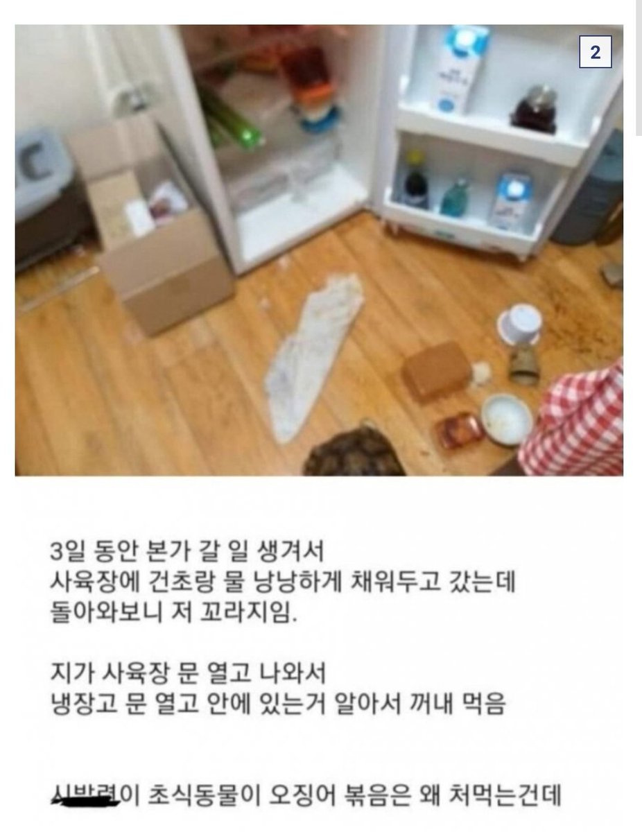morigetdown's tweet photo. 이 정도로 오징어볶음 먹고싶음 https://t.co/0gtdUapiQ2