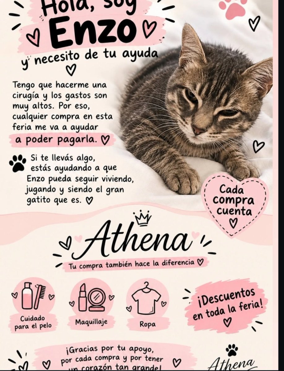 cukeshton's tweet photo. a uno de los gatos de mi familia lo atacaron unos perros afuera de casa y le fracturaron la columna y la pelvis, la operación sale cara y lamentablemente no contamos con esa plata asi que toda ayuda cuenta asi sea solo compartiendo la publicación en ig 🙏🏻

https://t.co/Ze8GU0fdOE https://t.co/aNIofvxbQf