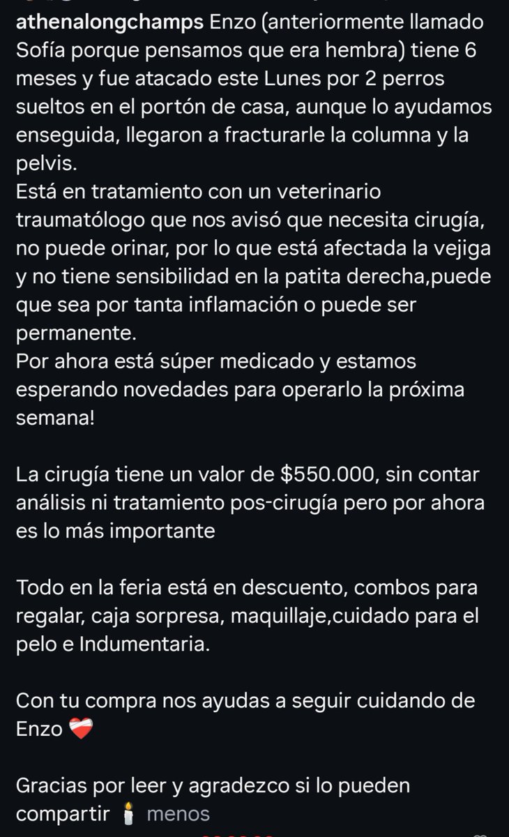 cukeshton's tweet photo. a uno de los gatos de mi familia lo atacaron unos perros afuera de casa y le fracturaron la columna y la pelvis, la operación sale cara y lamentablemente no contamos con esa plata asi que toda ayuda cuenta asi sea solo compartiendo la publicación en ig 🙏🏻

https://t.co/Ze8GU0fdOE https://t.co/aNIofvxbQf