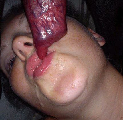 Lauraknottxxx's tweet photo. New session uploaded.

Deep, locked, and messy.

Private access ٨٨٩٩

https://t.co/hTPsdbharZ

#dog #knot #taboo #r34 #rule34 #nsfwtwt #nsfw #dmme #puppyboy https://t.co/Nr8wGYwFhz