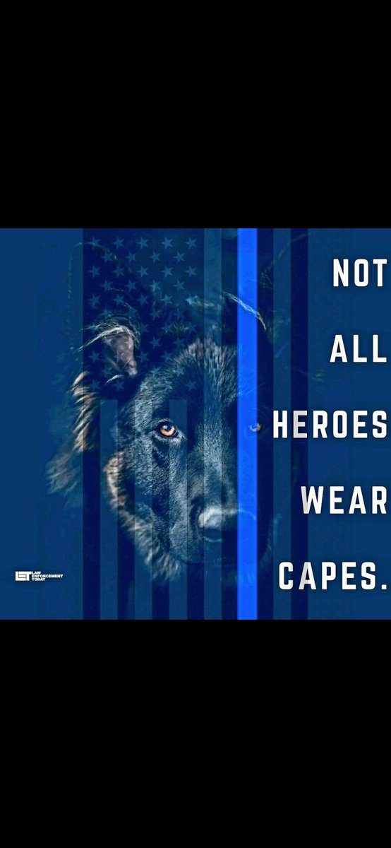 witchy1955's tweet photo. @TheRealMadOx As far as I'm concerned,  he killed a fellow officer. What's worse,  these 4 legged officers,  would have defended him in a heartbeat without a thought for their safety. https://t.co/RvrId5pdkh