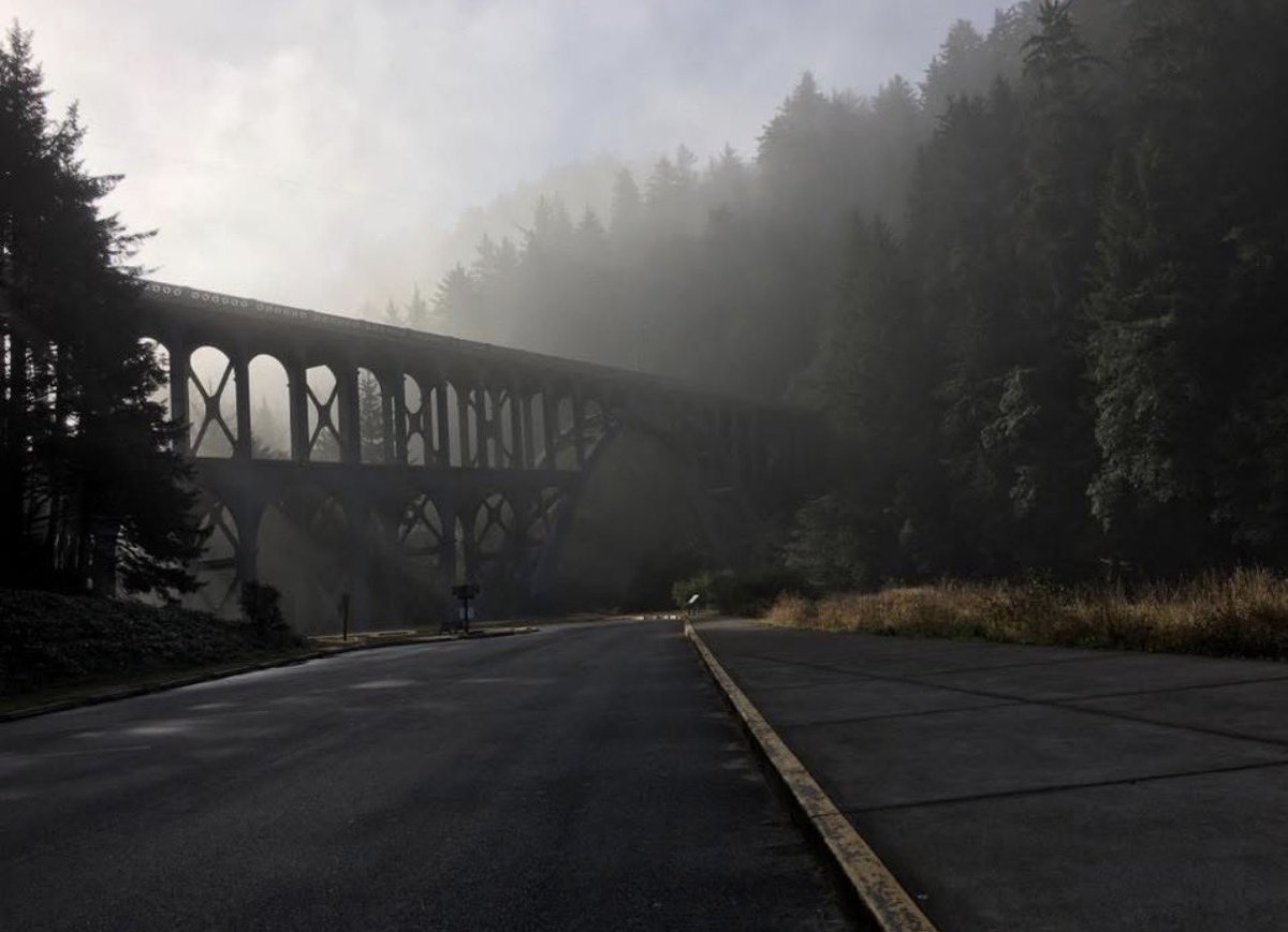 Calico_Reese's tweet photo. Pacific NW trip 2017 Tree of life, Yaquina lighthouse (aka the ring) Olympic NP, and a spooky bridge shot along pacific coast highway https://t.co/4tUGpUof9P
