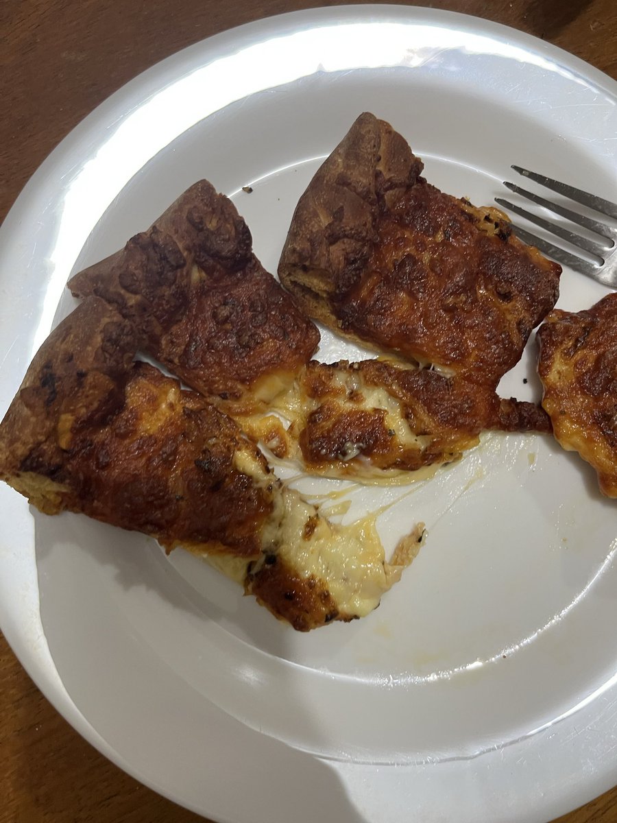 anaimagiina's tweet photo. total de 0 dias sem pizza pois estou jantando pelo quinto dia restos de pizza congeladas (inclusive essa de hoje eu esqueci na air fryer ficou horrorosa é deliciosa) https://t.co/qgAFRWZUkH