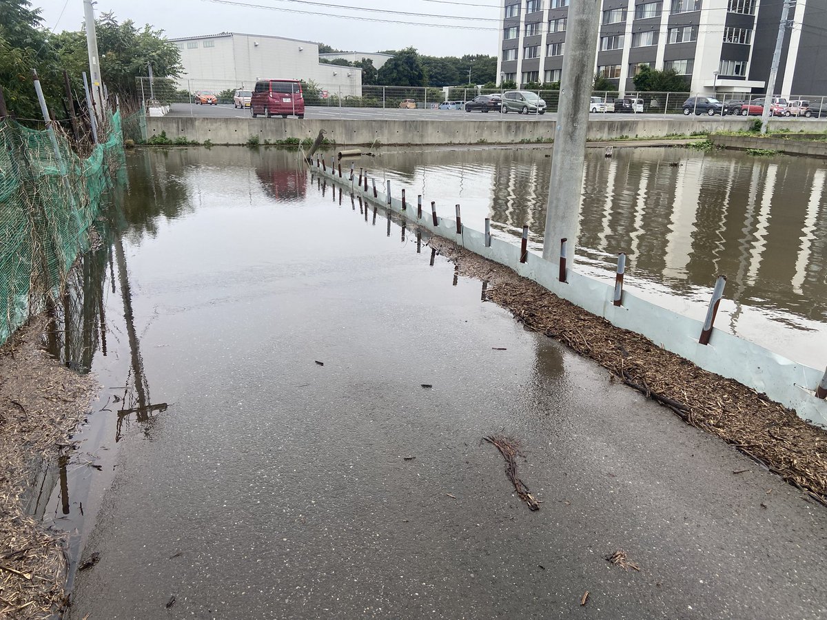 pear_berry_TKS's tweet photo. さてさて、いよいよ窮地です
水の逃し場所は無い
下水道のマンホールも開けてもらえない
(市役所から許可出ませんでした)
消防も来ない
(他にも大変な所があるので理解できます)
市役所は巡回に来ないどころか連絡も通じない

次の雨までに水が引かなければ
今年のイチゴは“THE END”の予感です https://t.co/u1z8wRtO5y