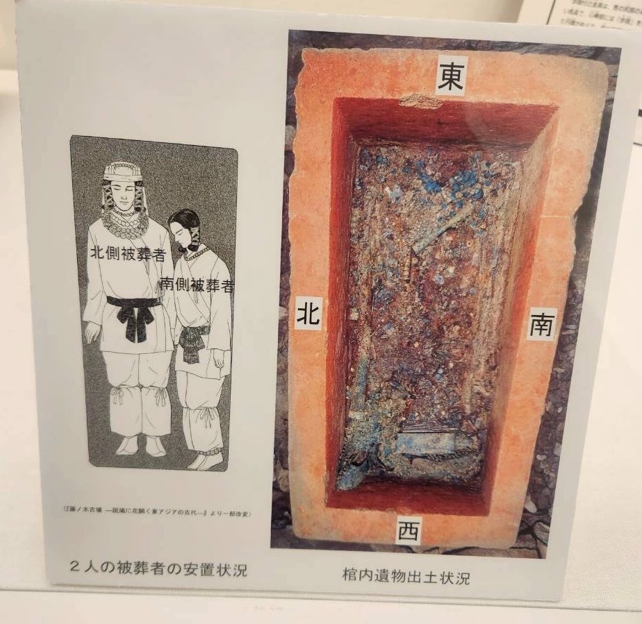 nntnarabot's tweet photo. ワイの推し古墳、斑鳩町の藤ノ木古墳。

同じ一つの石棺の中に成人男性2人が寄り添うように葬られている事から、一部界隈では「BL古墳」「やおい古墳」とも呼ばれている激アツスポットである。 https://t.co/fie34Ky8m3
