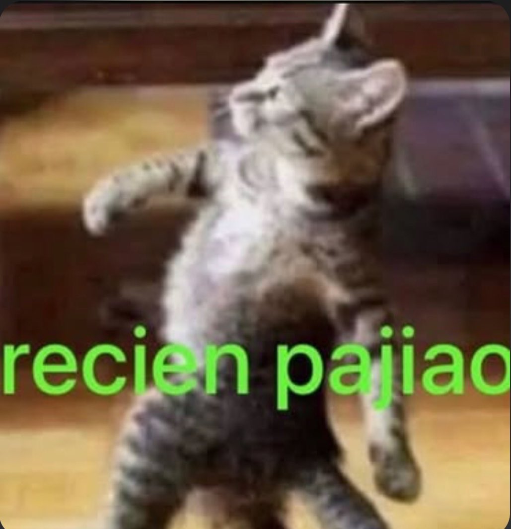 Luciel_idfk's tweet photo. https://t.co/pVnAZX4eAh