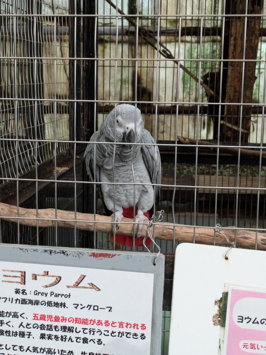 naxtusa's tweet photo. おはよう https://t.co/kZexu5VebK