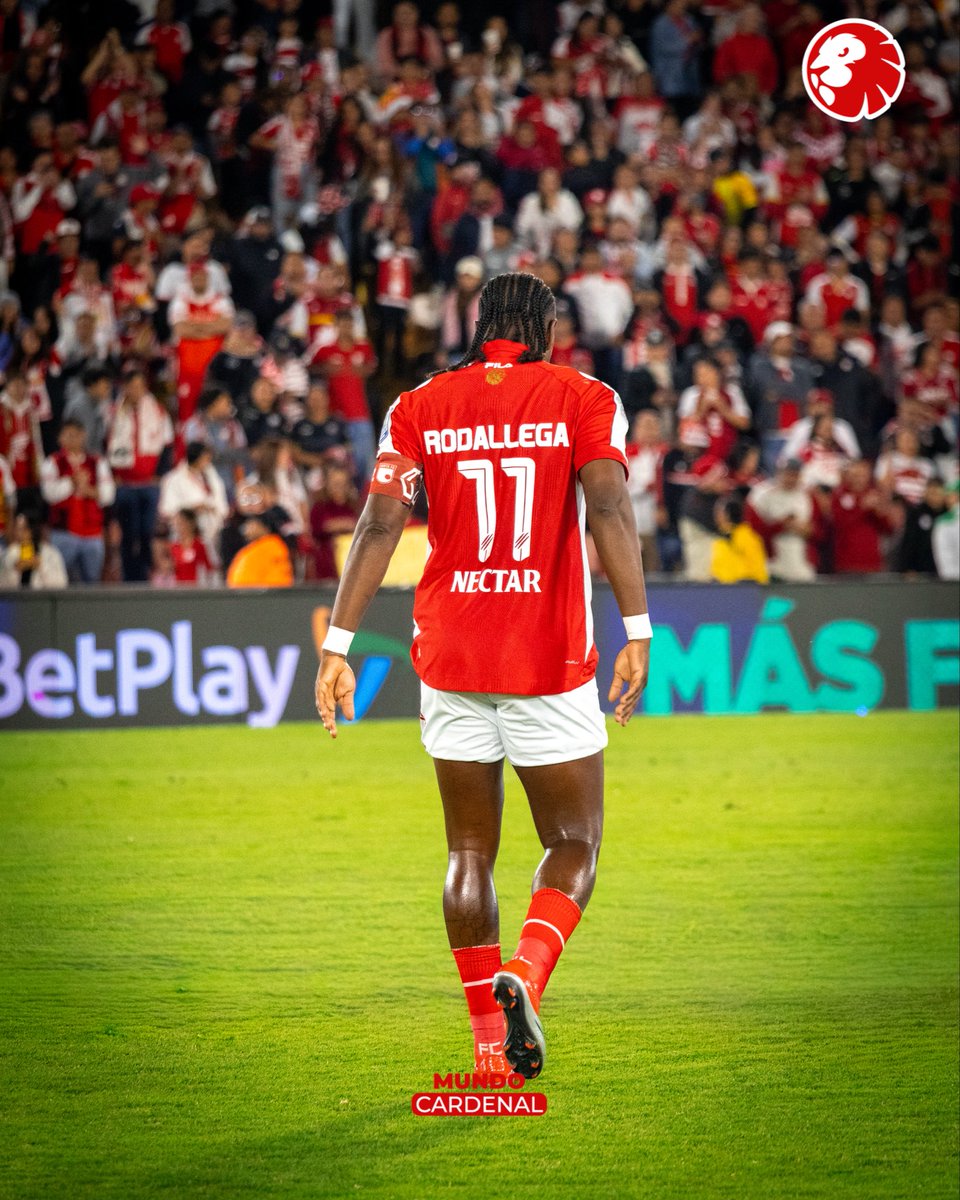 Mundo_Cardenal's tweet photo. RODALLEGA, UN GRANDE DE LA HISTORIA CARDENAL Y EL FÚTBOL COLOMBIANO ⚽️ Así fue el homenaje que le hizo Santa Fe a Hugo por llegar a 100 goles en la liga colombiana y a 78 con el expreso rojo, siendo el octavo máximo anotador cardenal. https://t.co/nZ3OrV0MnR