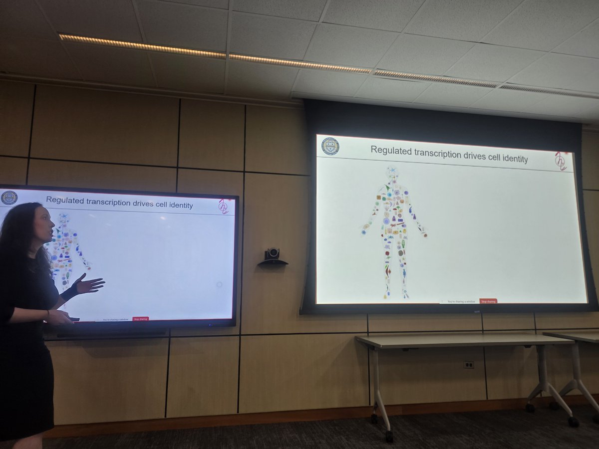 WhetstineLab's tweet photo. My favorite Seminar Series! We host the #NEXTepiGEN series monthly @CeiFccc that highlight the brightest future faculty leaders in epigenetics, chromatin, DNA-dependent biology, and gene regulation, etc.

Hosted Dr. Sarah Hainer from Univ of Pittsburgh. Amazing science! https://t.co/LkR86z86Lb