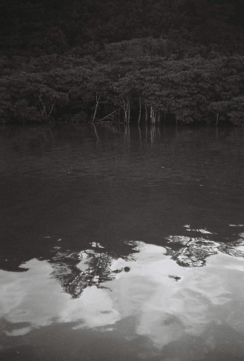2osPhoto's tweet photo. LEICAのフィルムカメラで。
沖縄。 https://t.co/F3YhWrdCyQ