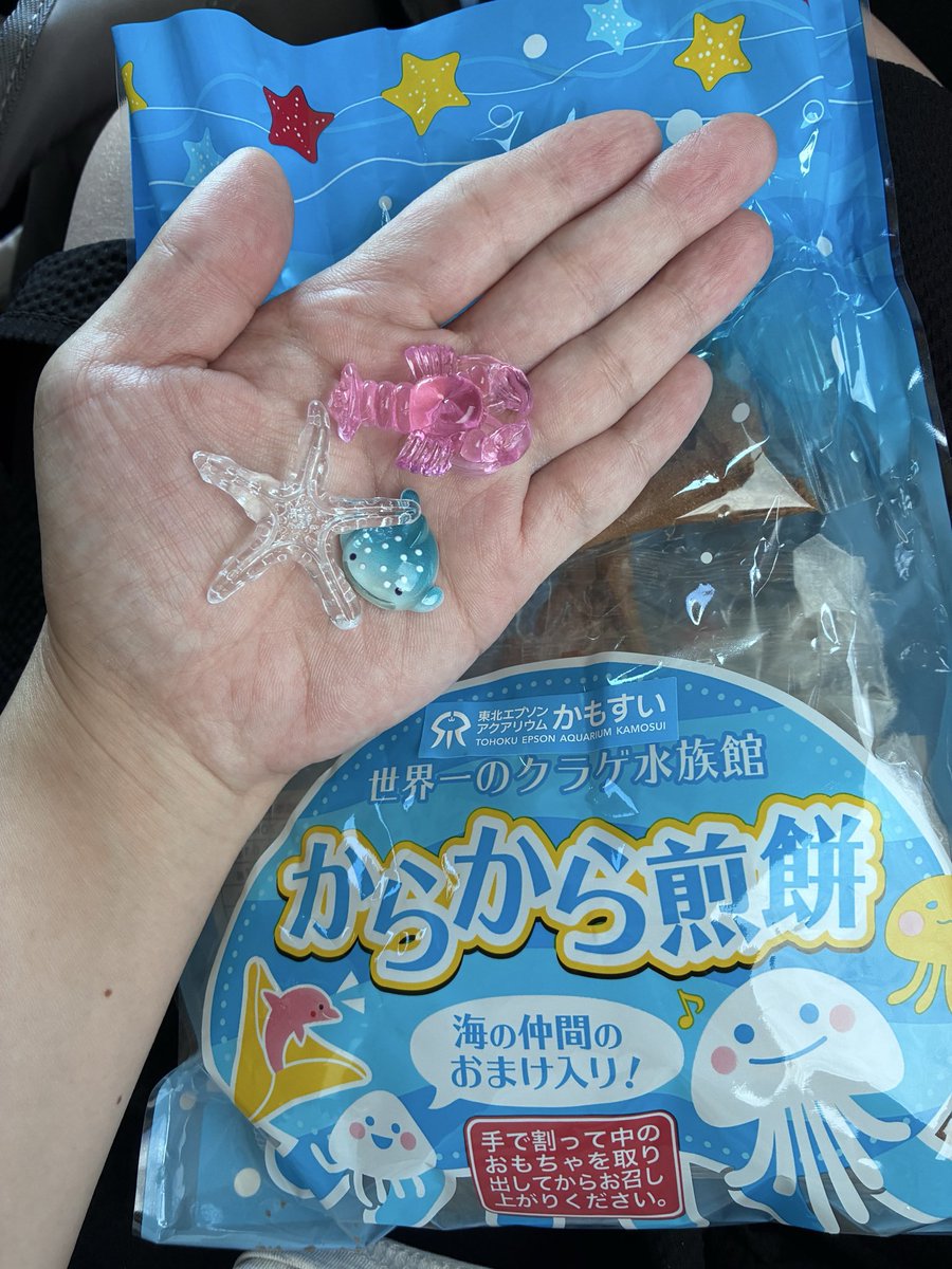 ichi0510ren's tweet photo. 加茂水族館バージョンも可愛すぎる。山形行ったら絶対買った方がいい。 https://t.co/XcmD8JzaLh