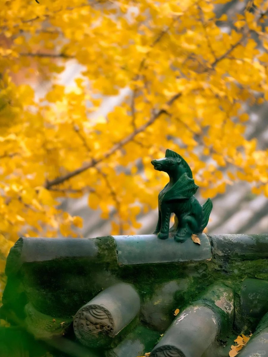 ShanxiTimes's tweet photo. 【 #OneShanxiADay 】#Shanxi in #autumn is the pinnacle of Chinese aesthetics.🍁 https://t.co/mloSxrGoEe