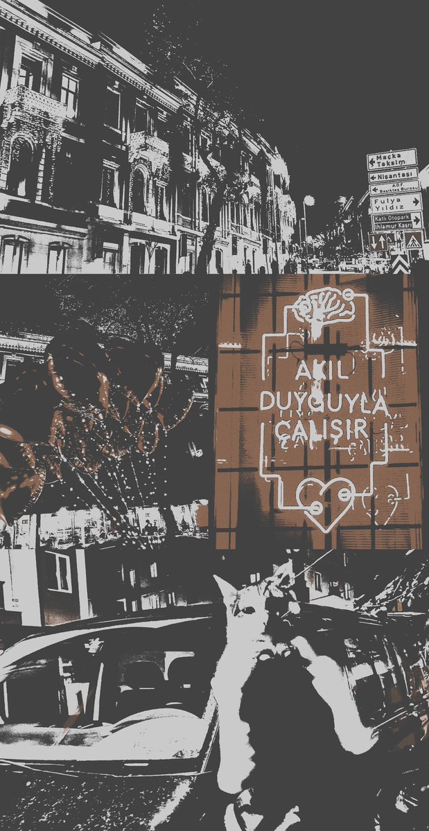 who6iscesuku's tweet photo. ⠀

frᥱquᥱncɣ 𝟫𝟦.𝟩.  .  𓁼  kızılımın canının sıkılması sayesinde sonunda kadıköy’den çıkmayı başardık?? gördüğü her kediyi eve götürmek istemesine ve kavga etmeden geceyi kapatabilmemize 9/10 veriyorum. ezgi gülünce 10/10 oluyor zaten.

⠀ https://t.co/76pWNUbuXu