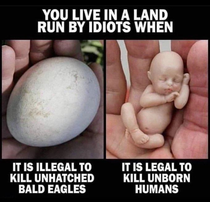 Put_USA_First's tweet photo. @LiveAction https://t.co/Dn0JdpJWeR