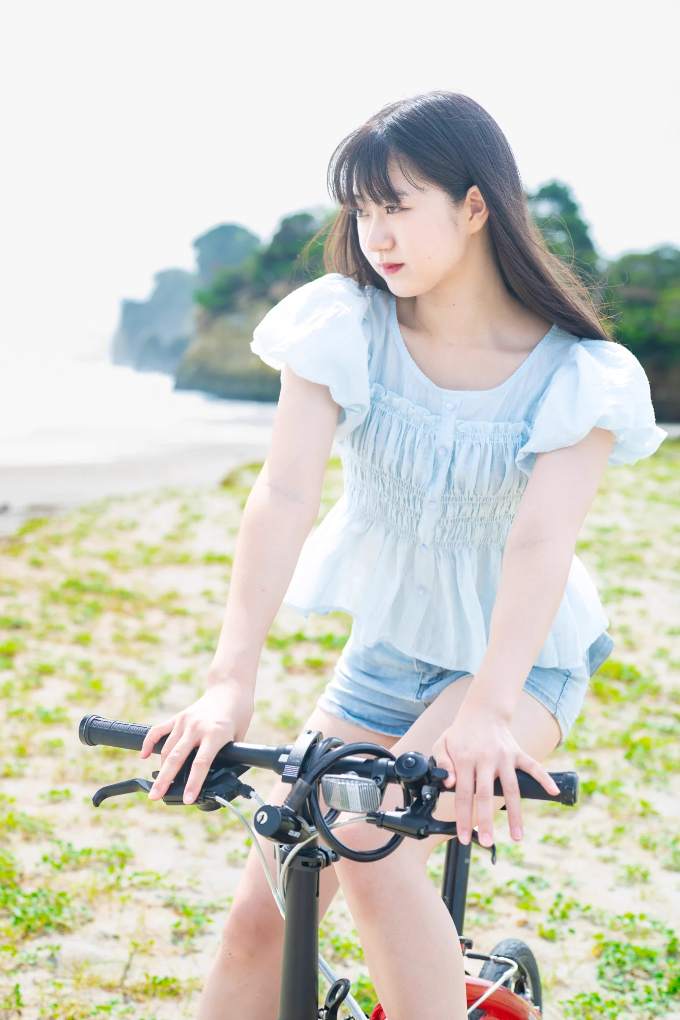 とらちゃん on X: 