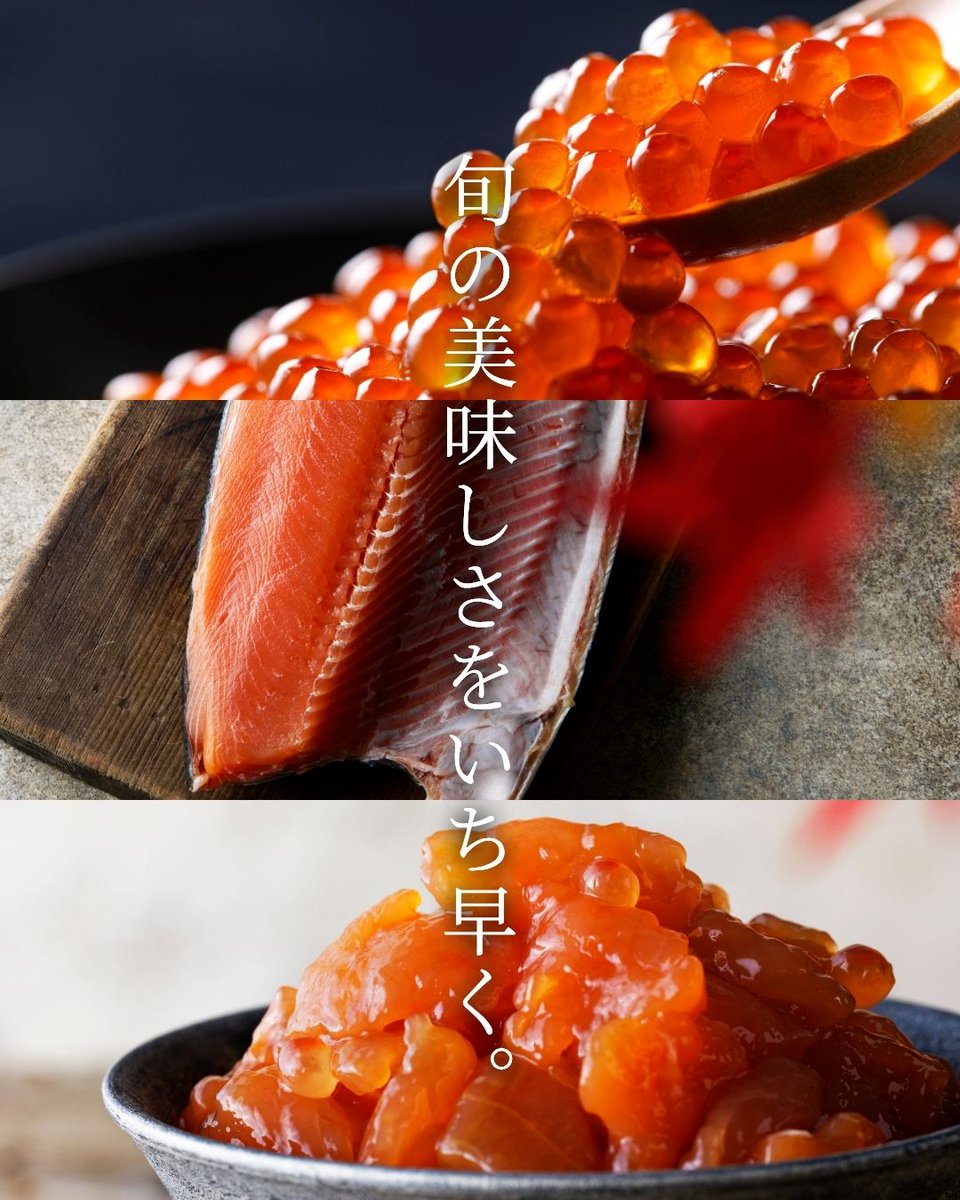 satosuisan's tweet photo. 📢新物の販売がスタート🐟✨

今秋、水揚げされた秋鮭を使った
いくら醤油漬、鮭ルイベ漬、生秋鮭半身を
数量限定でご用意しております🙌
北海道の秋の味わいを食卓でお楽しみいただけます♪

秋鮭の簡単アレンジレシピも公開中です🍴
ぜひ参考にしてみてください😊 https://t.co/KhK21GD3Uc
