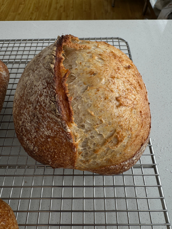 ElaneBorrekot's tweet photo. Just pulled my first homemade sourdough loaf out of the oven—crusty, aromatic, and so worth the 12-hour proof!  Baking magic never gets old!， https://t.co/rnFD4rmSSV