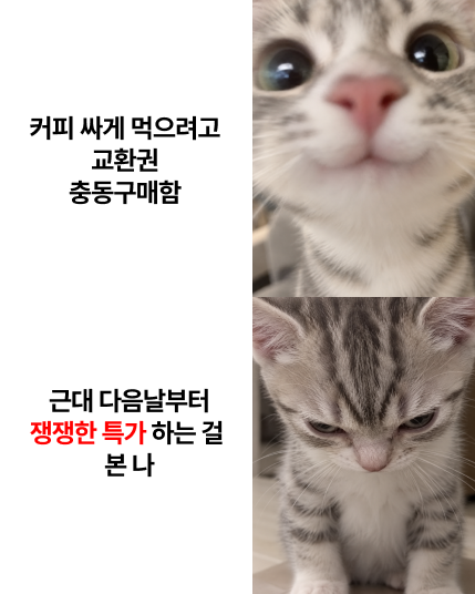 kakaotalkgift's tweet photo. #EVENT 커피 싸게 먹겠다고 어제 교환권 지른 나...
근데 오늘 쟁쟁한 특가 오픈한대요 ..!!!! 🫠
쿠폰+페이 더블할인에 교환권 특가까지 실화냐고요...

본 게시물을 #RT 해주신 분들 중 5분께
떠먹는 스트로베리 초콜릿 생크림 
+ 떠먹는 아박 + 아메리카노 R 2잔을 선물드립니다!!!
ㄴ 눈물 흘리며 담당자도 또 사러 갑니다...🛒.

👉 바로가기: https://t.co/I4udVCZN3t
🧡 참여 방법: RT + 팔로우
🧡 진��� 기간: 9/28(월) ~ 10/4(일)
🧡 당첨 발표: 10/6(화) 

#카카오톡선물하기 #쟁쟁한특가 #선물 #할인 #이벤트