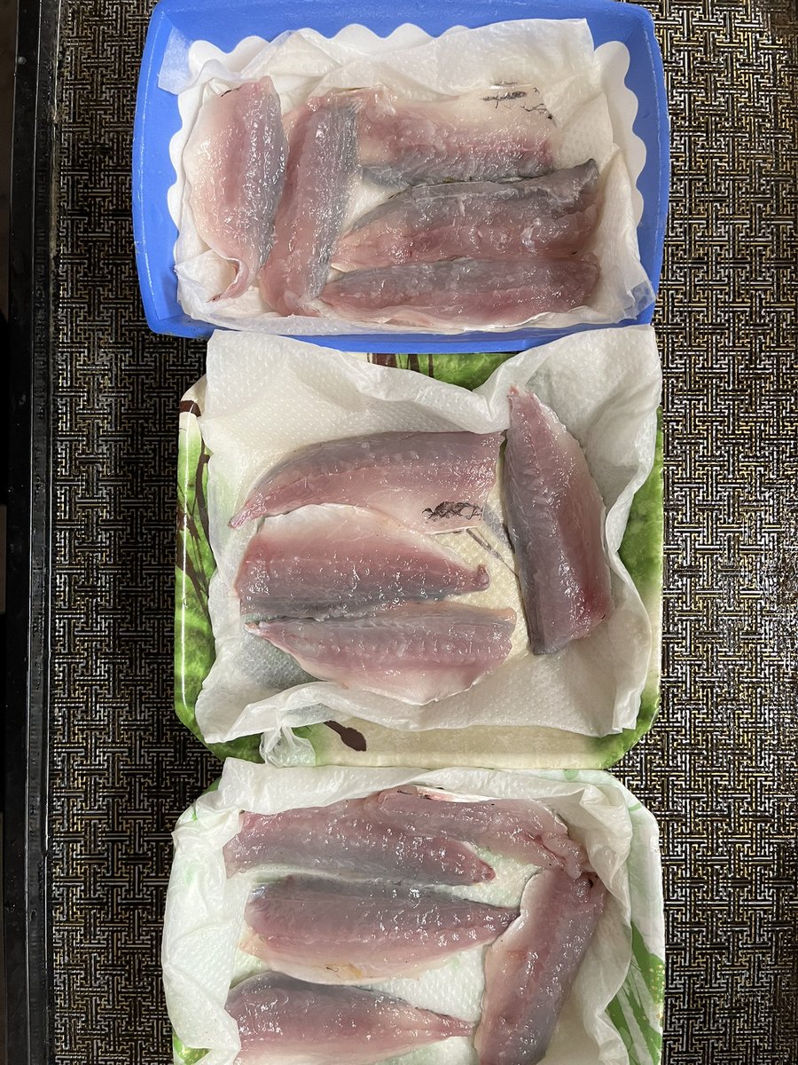 HiRO74708529's tweet photo. アジ🐟捌きました！
冷蔵庫で少し寝かせて後で焼いて食べます😊 https://t.co/YpAiRlH4Hd
