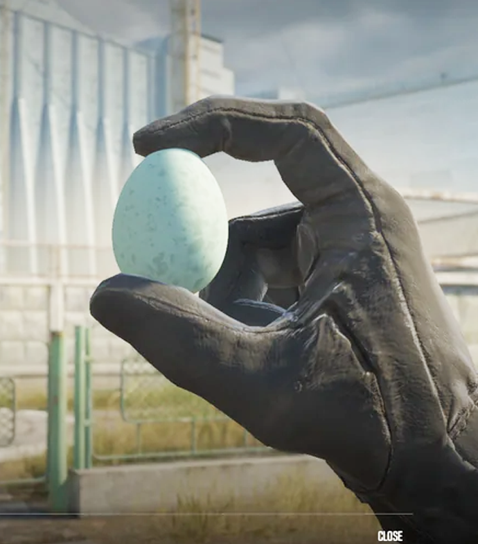 NartOutHere's tweet photo. 🐔 This is what the pet chickens you can get in the new CS2 update look like https://t.co/v998TB3Twf