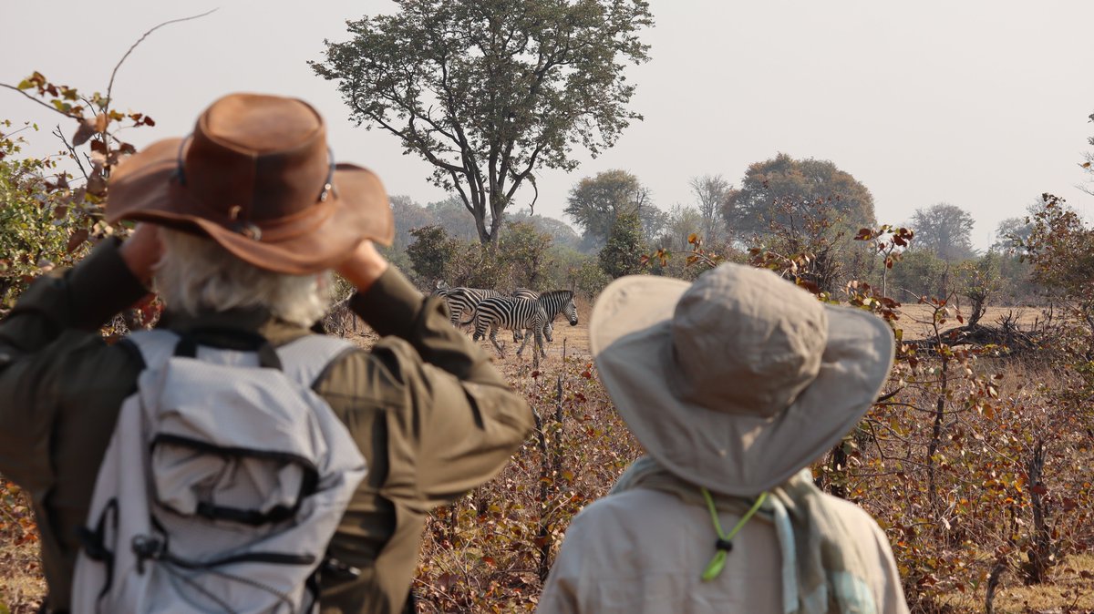 Zamsato's tweet photo. Victoria Falls is only the beginning. 🇿🇲

Discover the highlights around Livingstone with Zamsato: track white rhinos on foot in Mosi-oa-Tunya National Park 🦏, experience local culture during a visit to Mukuni Village 🥁, and stand before the spectacular Victoria Falls 🌈💦.

Wildlife. Culture. One of Africa’s greatest natural wonders — all in one unforgettable Zambian experience.

📩 adventures.await@zamsato.net
🌍 https://t.co/C7WUX389uW
📱 WhatsApp +260 96 9267286
#Zamsato #VictoriaFalls #Zambia #Livingstone #MosiOaTunya #RhinoTracking #MukuniVillage #VisitZambia #AfricanSafari #TravelZambia
