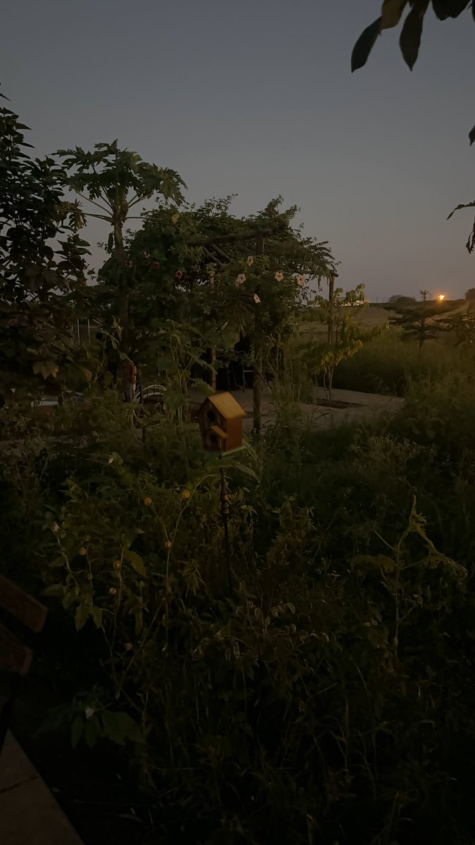 msscullenn's tweet photo. very twilight ish https://t.co/MUJfwuMnwN
