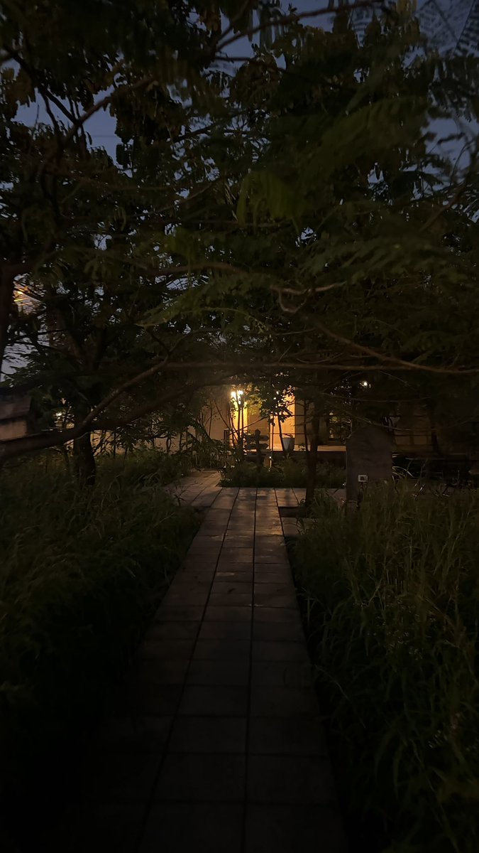 msscullenn's tweet photo. very twilight ish https://t.co/MUJfwuMnwN