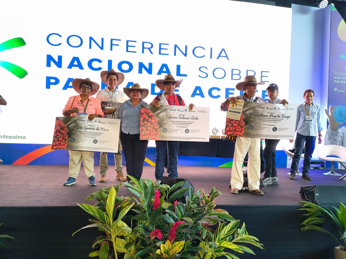 CenipalmaOrg's tweet photo. Hicimos entrega del Premio al Productor de Menor Escala, un reconocimiento que resalta la labor de los palmicultores que, gracias a su compromiso con la sanidad vegetal, el buen manejo agronómico y la sostenibilidad, han consolidado un negocio mucho más rentable.

En la categoría Elaeis guineensis, premiamos a los productores de las zonas Norte, Central y Oriental; mientras que en la categoría híbrido OxG se reconoció el trabajo de la zona Suroccidental.

En esta edición contamos con 32 postulados y 5 ganadores que recibieron este importante galardón. ¡Felicitaciones a todos por su dedición al campo! 🌴👏