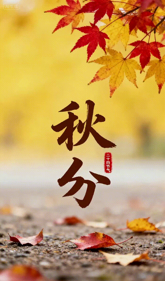 vipprogrammer_ tweet picture