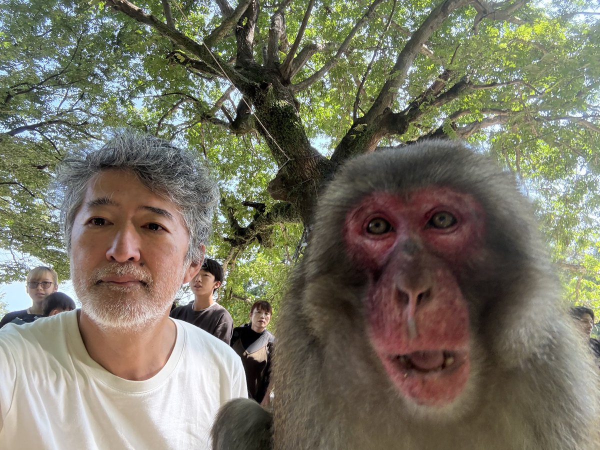 makotoaida's tweet photo. https://t.co/c9ipXaIvKf