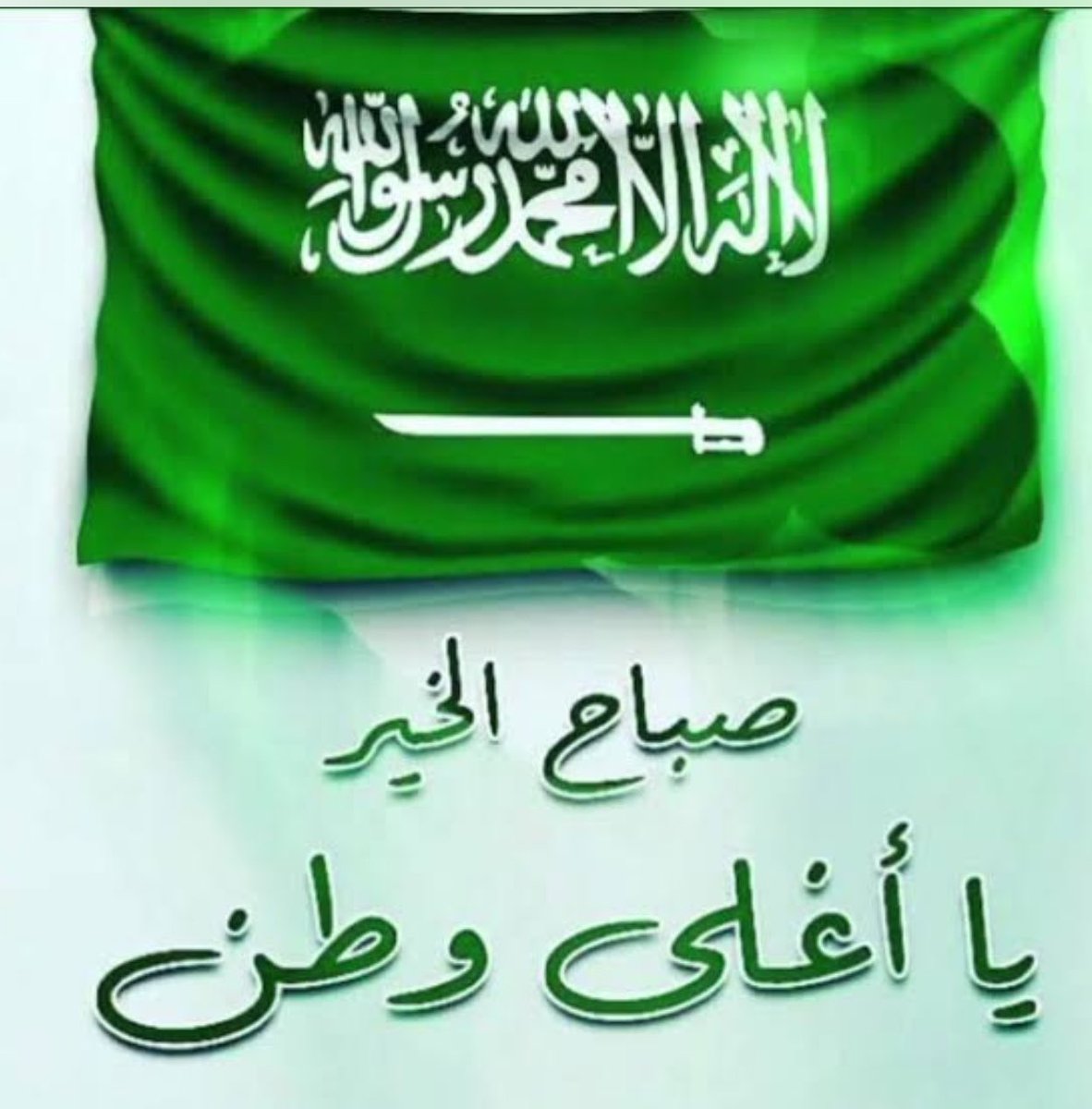 tayypeachy's tweet photo. صبَاحُ الخَيْرِ يَا وَطنَاً يَسِيرُ بِمَجْدِهِ العَالِي إلى الأَعلى🇸🇦
#اليوم_الوطني_السعودي_٩٦ 🇸🇦
#خليجي٢٧ #عزّنا_بطبعنا 🇸🇦
#صباح_الخير_والسعادة 🇸🇦 https://t.co/Is1dg7OUpP