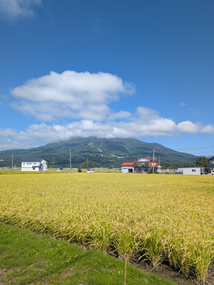 massas52's tweet photo. いい天気!理想の夏休みって感じする #オハラブレイク #SeptemberJAM https://t.co/UqdBSHwh7B