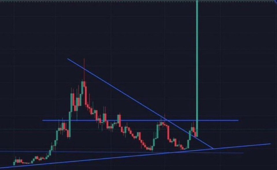 theAdamcrypto's tweet photo. Any memecoin worth buying right now? https://t.co/cTnJDnzHKK