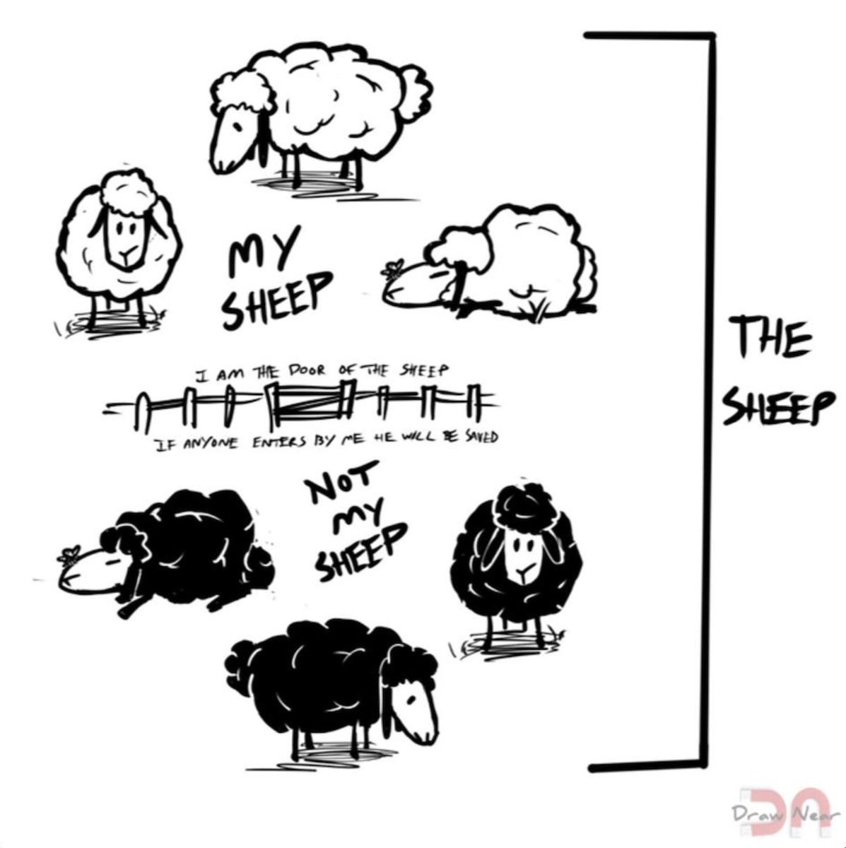 Fletch1171's tweet photo. *the* sheep https://t.co/dIwnmxXzbs