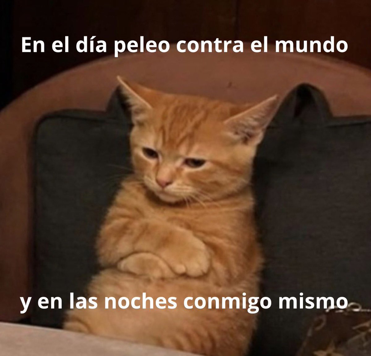 conoloracigarro's tweet photo. https://t.co/bVZineKFbo