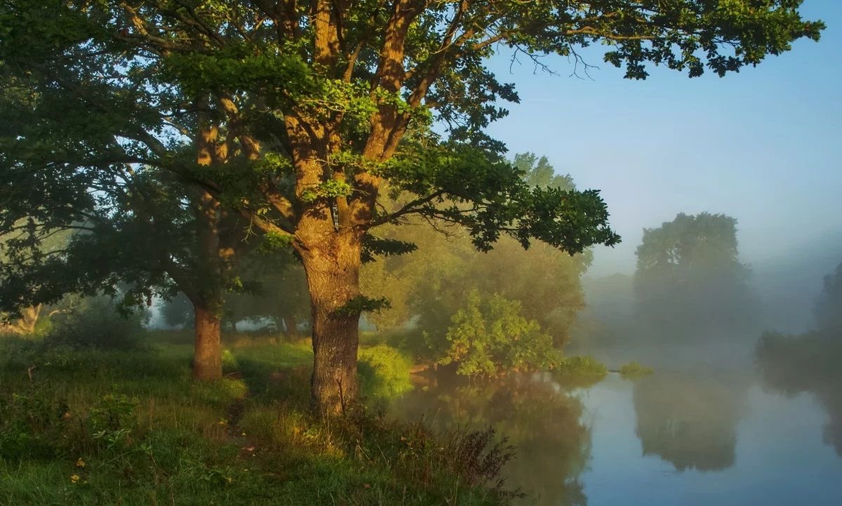 Craftsmangod's tweet photo. winter weaving mist into the morning light.. https://t.co/UprgaDGCAX