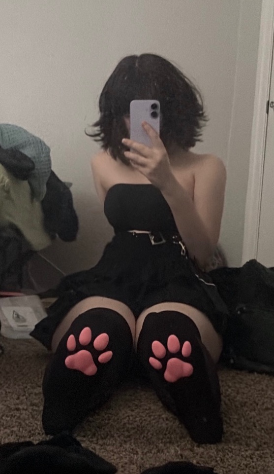 txrrnt's tweet photo. *paws at u* :3 https://t.co/PgmqJwlv2i