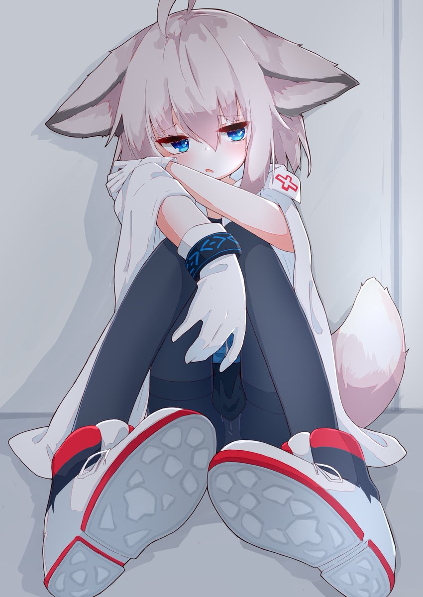 WholesomeKawaii's tweet photo. Very cute fluffy foxy https://t.co/tDgkH8W5NK