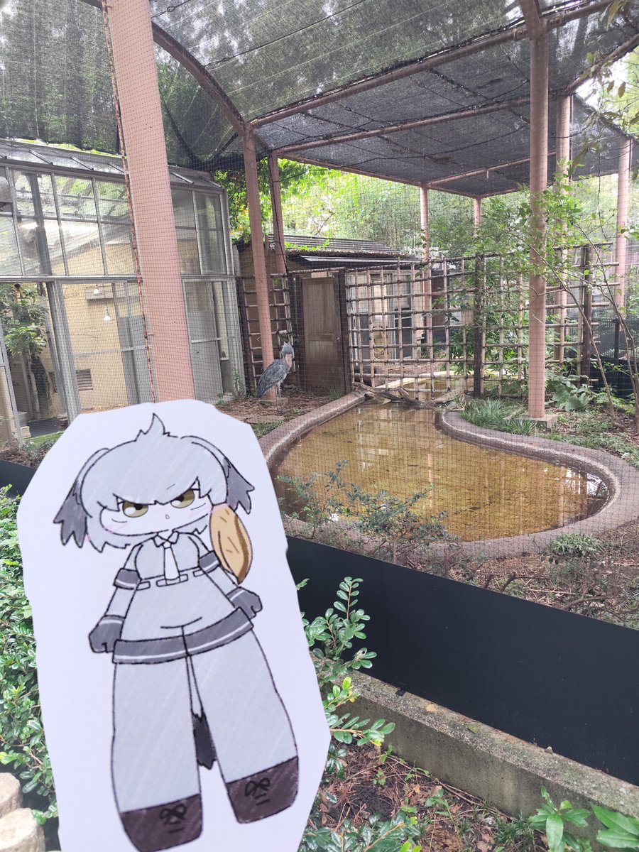 SeaMoon_1103's tweet photo. ハシビロ！！ https://t.co/cdWbMxx1e7