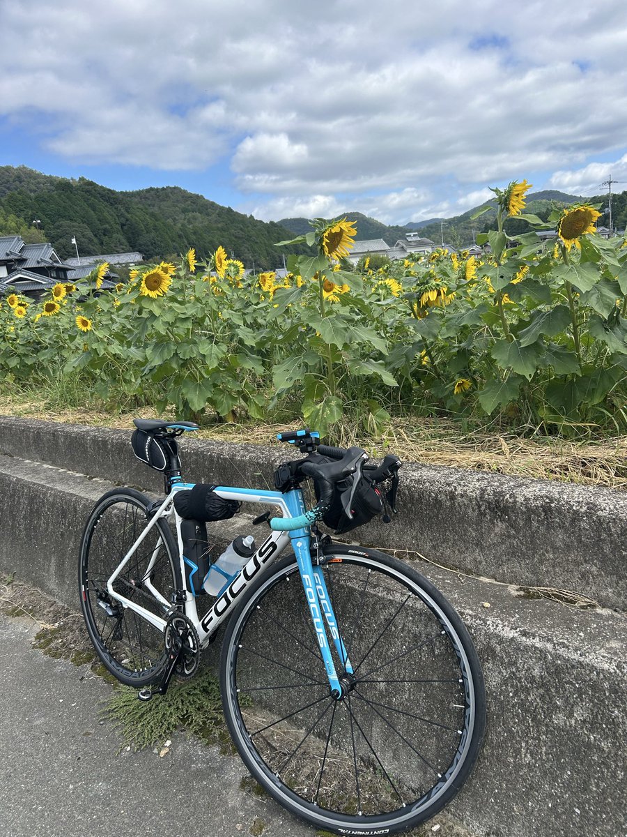 yuuki_FOCUS's tweet photo. もう少しで半分走破🚴‍♂️💨帰りは下り気味やから巡行速度35位で走れる！
#帰り　#下り https://t.co/3UJEsK6AjZ