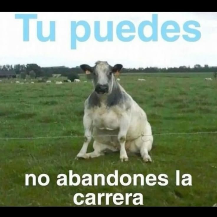 Lilylwsky's tweet photo. Abandono la vida mejor https://t.co/QlHjhgZdXV