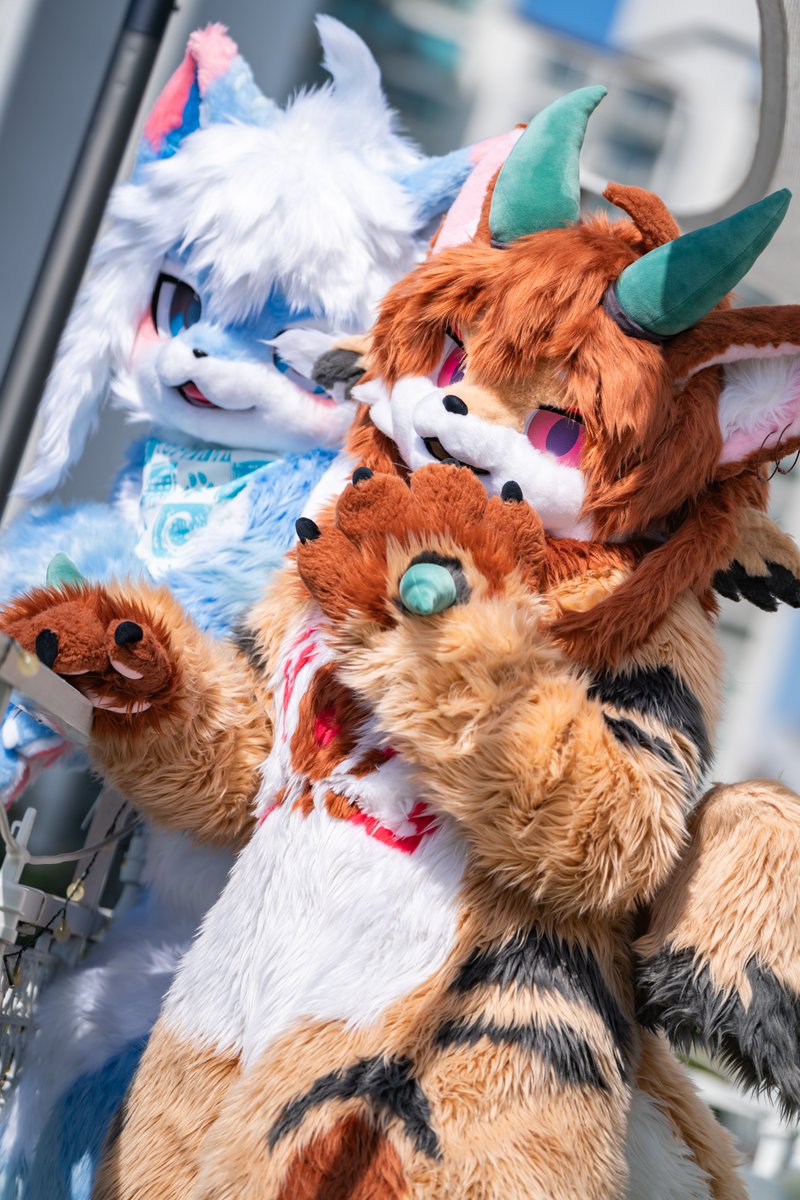 iz_furry's tweet photo. 날씨가 참 좋아요! https://t.co/OS4IkKnCpz