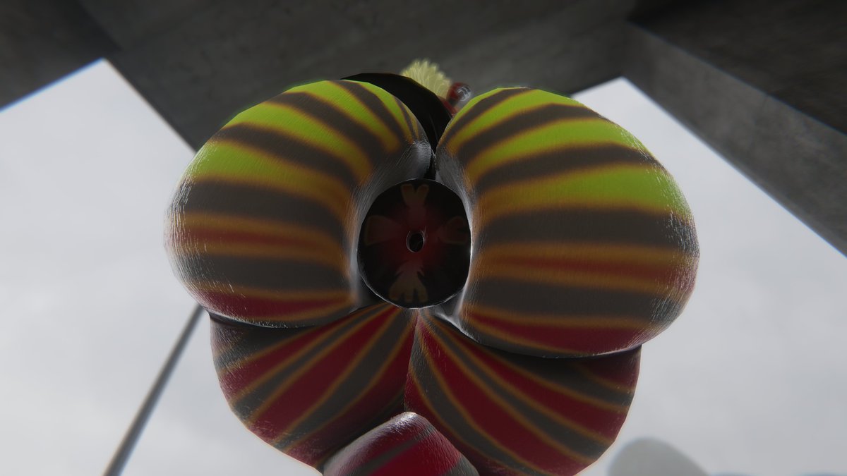 shunngite's tweet photo. I know that I'm rather fruity bro but like you don't need to be staring at me that intensely
❤️💛💚
#VRChatnsfw #VRChat #vrlewd #furry #nsfw #thicc #hyper #thick #Donut #anus #horny https://t.co/L5QO8h359B