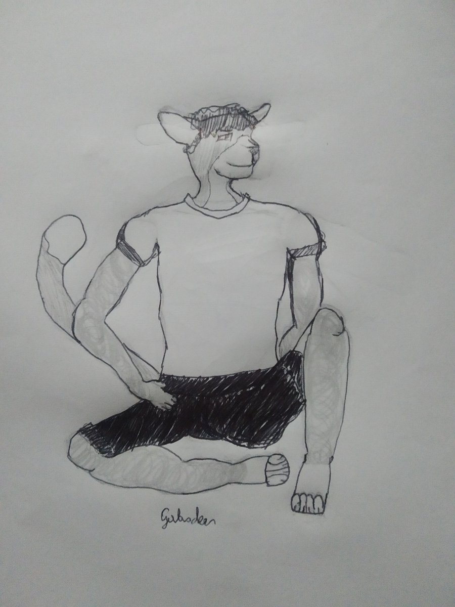 GabsDeer's tweet photo. Tentei desenhar o meu gatão @Dav20050314 
Um presente para ele ❤️ https://t.co/zFdfH3Xpzf
