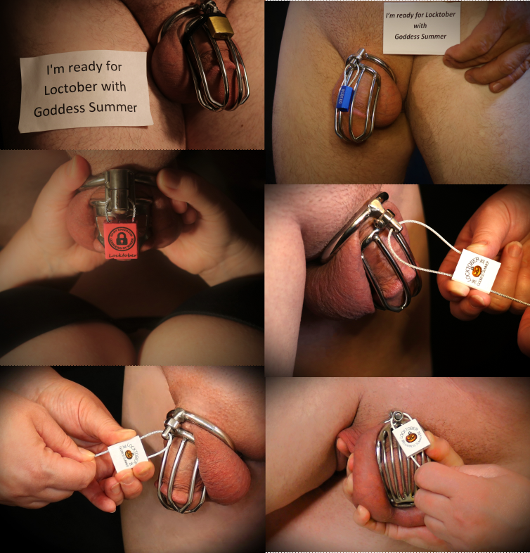 KSB315's tweet photo. I'm getting ready for my 7th Locktober lockup! Who's also in for Locktober? Will this be your first?

#Locktober #Locktober2026 
@Goddess_Summer_ https://t.co/pt3XBtakTl