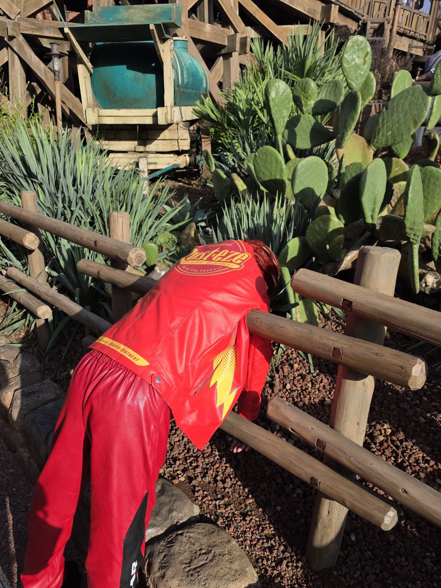 suabura_mayo's tweet photo. ⚠️カーズ擬人化

サボテンに突っ込むマックィーン🌵

#dハロ仮装2026
#dハロ仮装 https://t.co/V6eTj04eH5