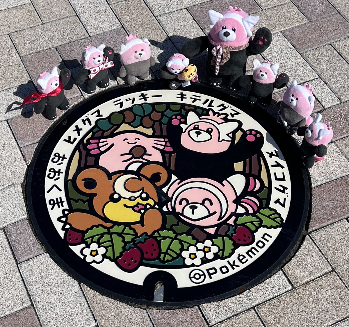 tomio_0w0's tweet photo. キテヌイのポケふたでクマぬい集合写真🐻💕大熊町のマスコットのまあちゃんと一緒。3枚目は浮かれたインド人観光客のビマヨダだよ‼️ https://t.co/725IMdnIKs