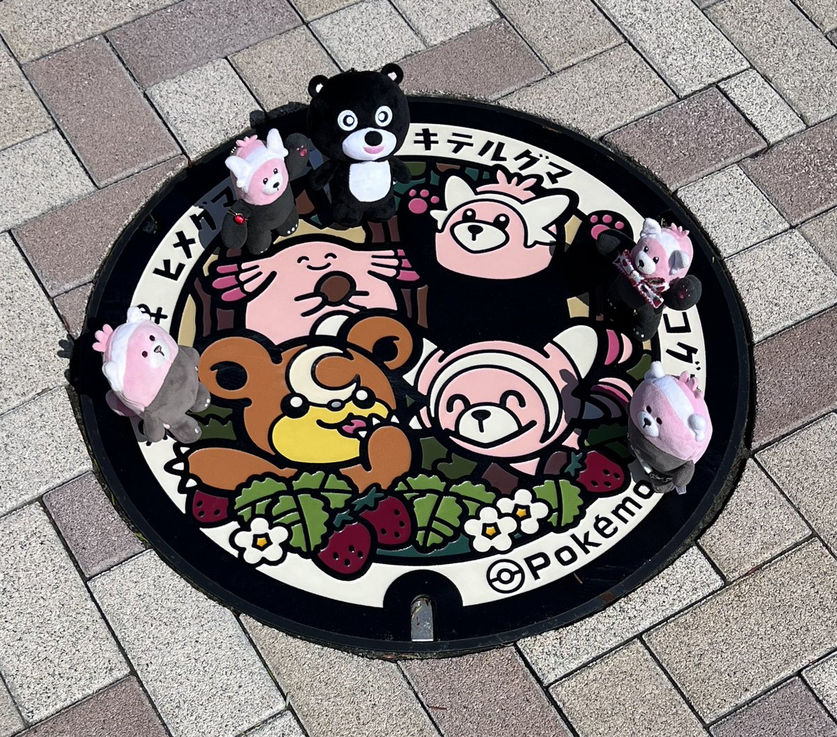 tomio_0w0's tweet photo. キテヌイのポケふたでクマぬい集合写真🐻💕大熊町のマスコットのまあちゃんと一緒。3枚目は浮かれたインド人観光客のビマヨダだよ‼️ https://t.co/725IMdnIKs